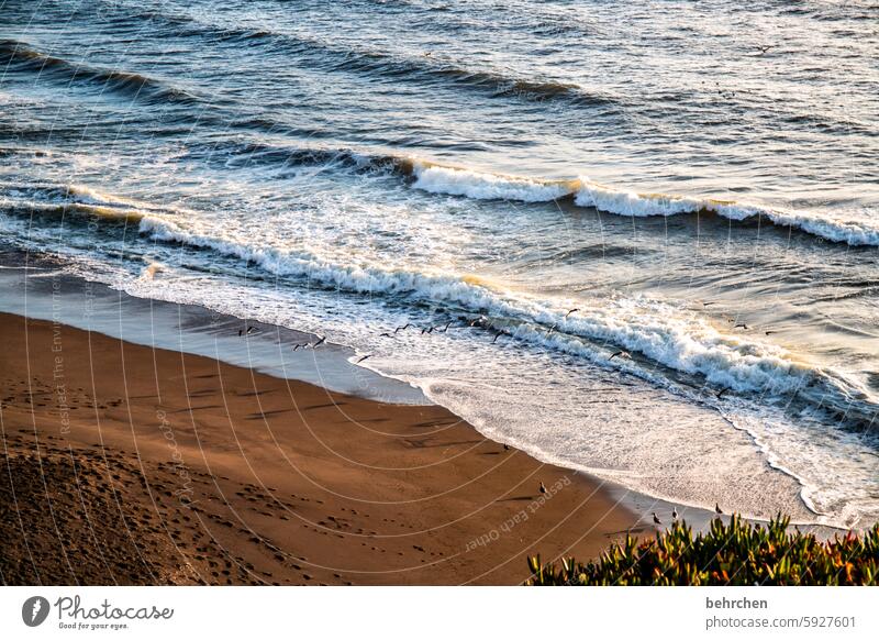 undulating Beach Waves Water Fantastic Ocean coast USA Americas Vacation & Travel Far-off places Freedom California San Francisco