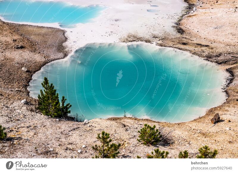 yellowstone Landscape Volcano volcanic landscape Clouds Sky Geyser USA Wyoming Yellowstone National Park Americas Vacation & Travel Far-off places Fantastic