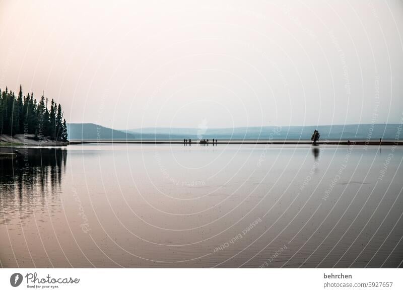 silent Wyoming Water Lake Tree Yellowstone lake Yellowstone National Park Sunrise Sunlight Twilight Wanderlust Longing Dream USA Americas Sky Vacation & Travel