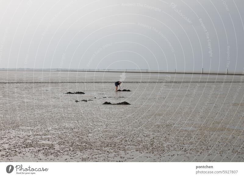 a man bakes himself in the mudflats at low tide. north sea watt North Sea Low tide Stoop Expedition mudflat hiking tour Human being person vacation Mud flats