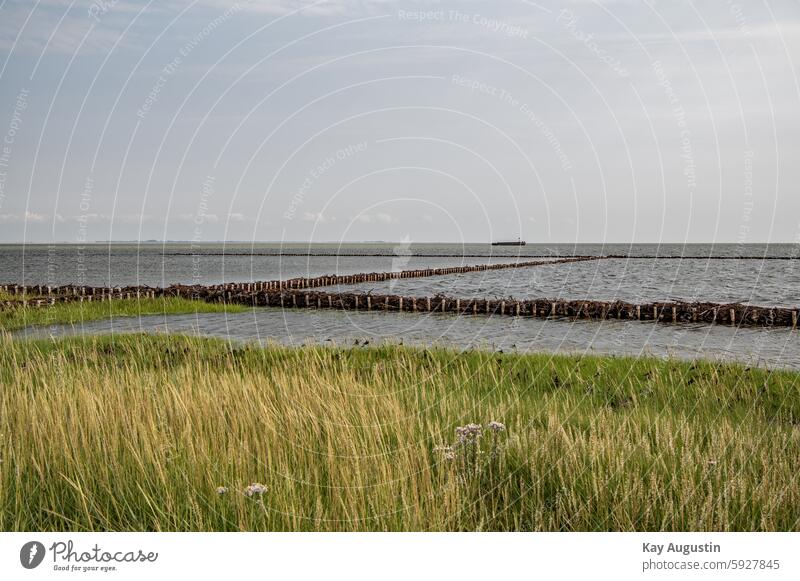 Lahnungen coastline barge Schlickrutscher North Sea coastal protection Nature Nature reserve National Park Sylt island Sylt landscape Tide Island Mud flats