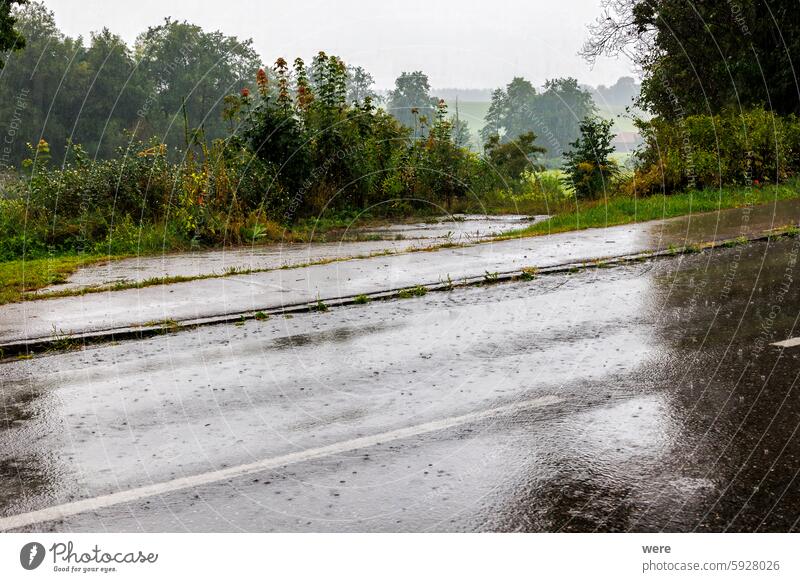 Heavy rain pours down on a road and forms dangerous puddles of water H2O Liquid Road aquaplaning drive drops flooding fluid fresh grip nature pour down