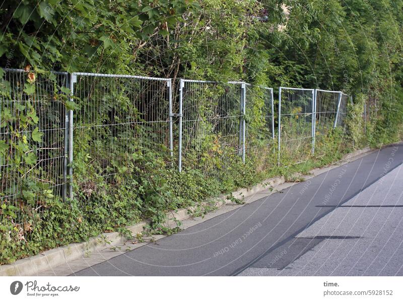 Stories from the fence .159 Fence Street Asphalt Real estate Botany bushes overgrown lost places Metalware Fence elements Border Barrier Protection Safety