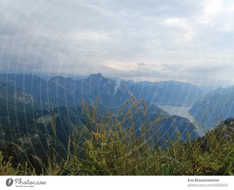 View through grasses to mountains and lake Mountain Traunsee Traunstein Grass Landscape Salzkammergut Lake Nature Austria Summer Clouds cloudy cloudy sky