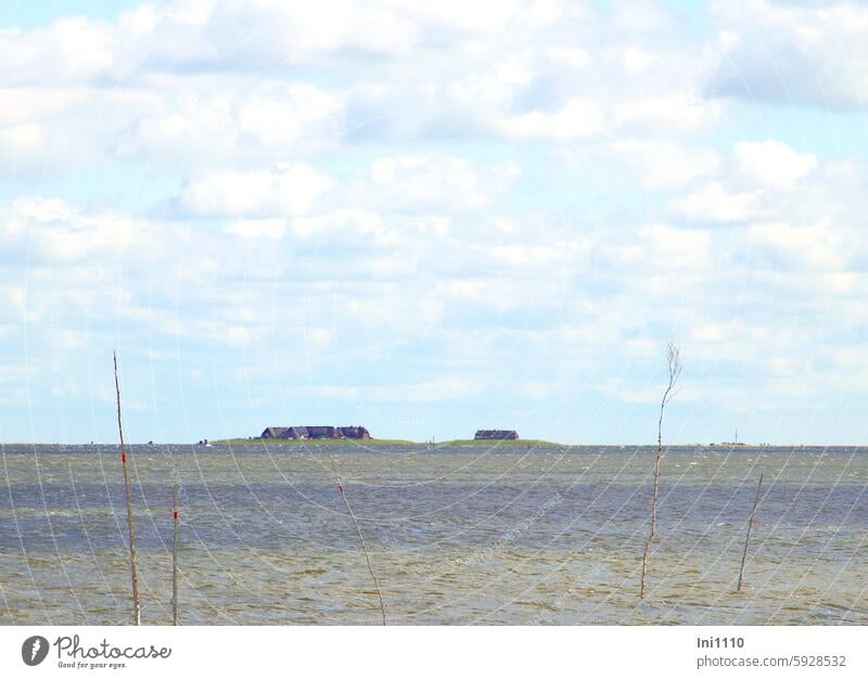 Hallig Gröde | always follow the Pricken Summer North Sea Ocean watt Wind fairway Lake calm ruffled prickle at sea from the sea Horizon reverberant 2 terps