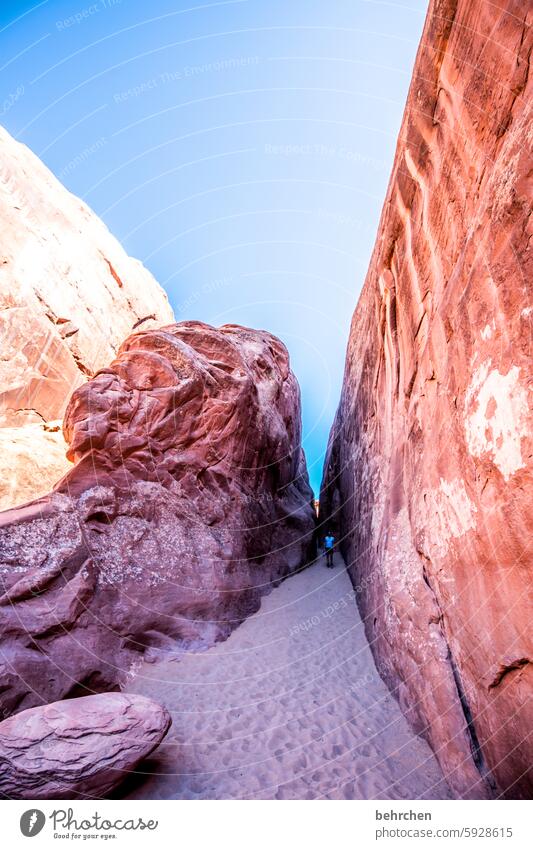 Hopeless Canyon Lanes & trails Nature Landscape Adventure In transit Wanderlust Exceptional USA Americas Freedom Vacation & Travel Far-off places Utah