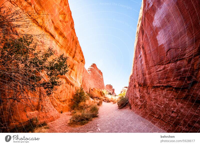 incomplete | having the big picture Canyon Lanes & trails Adventure Landscape Nature In transit Exceptional USA Wanderlust Americas Freedom Vacation & Travel