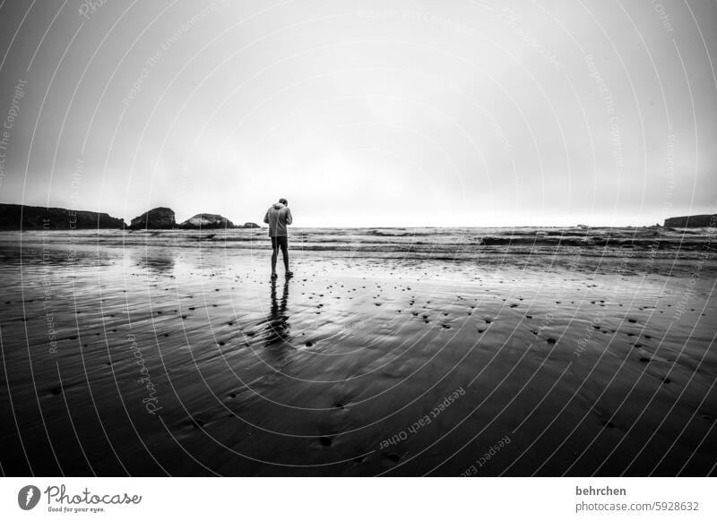 From searching and finding silent Black & white photo Water Beach Waves Ocean coast USA Americas California Vacation & Travel Far-off places Fog melancholy