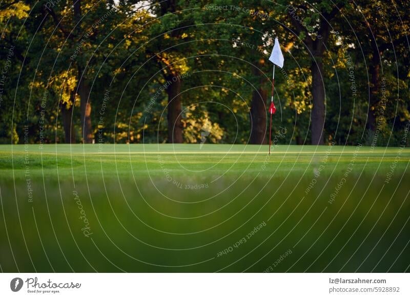 Golf Flag on Pristine Green at Sunset surrounded by lush trees in the warm glow of sunset. Perfect for illustrating the beauty of golf, nature, and serene outdoor sports.