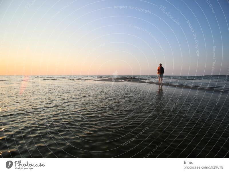 Evening at the sea Sky Nature Beautiful weather Atmosphere Beach Baltic Sea Water Moody Observe Wait coast Landscape Summer Sunset Horizon Vacation & Travel