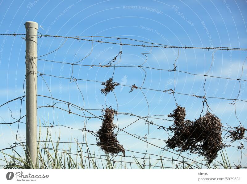 Something always sticks, even if it's a memory | Stories from the fence .155 Fence stake Grating Sky Seaweed Grass grasses Flood Beautiful weather Nature