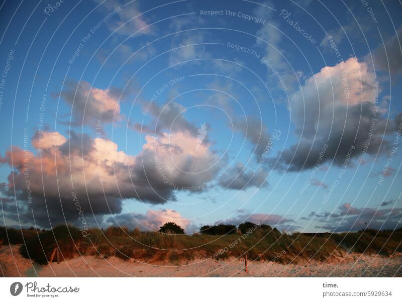 Beach in the evening with drama sky coast Shadow Summer Nature Relaxation Protection Vacation & Travel Sky summer wind Horizon dunes Clouds Evening Sand