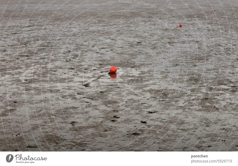 ebbe. watt with red, round, markings. Low tide Red Round Partition Sand slush Mud flats coast North Sea coast Vacation & Travel Tide