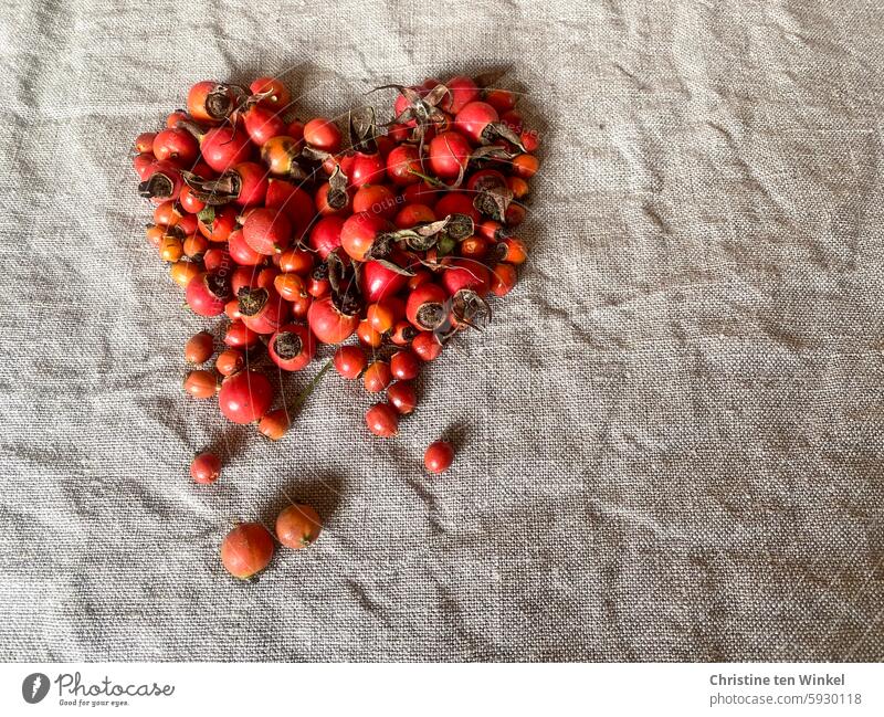 heartache Rose hip fruits Rose fruits Vitamin-rich Linen Fruit Vitamin C autumn fruits Red rose hip tea natural-coloured naturally Fresh Linen cloth Nutrition