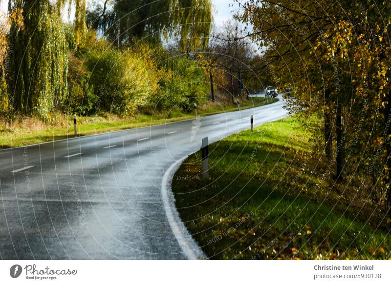 Where's the trip going? Country road after the rain sunshine Curve curvy winding road Street Traffic infrastructure Road traffic after rain comes sunshine