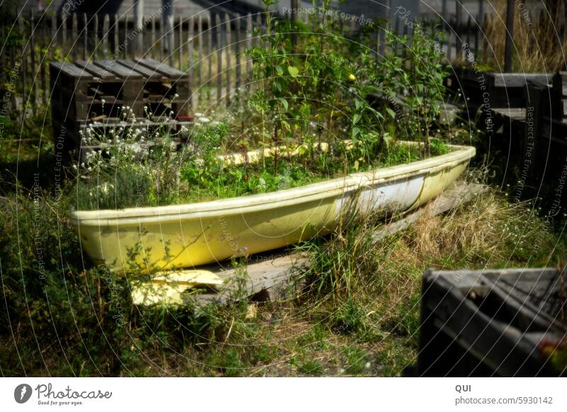 A lifeboat...for many small and large plants Yellow Lifeboat ashore Wood Nature Rescue Summer Watercraft Stranded converted little plant Small Large Fence Hope