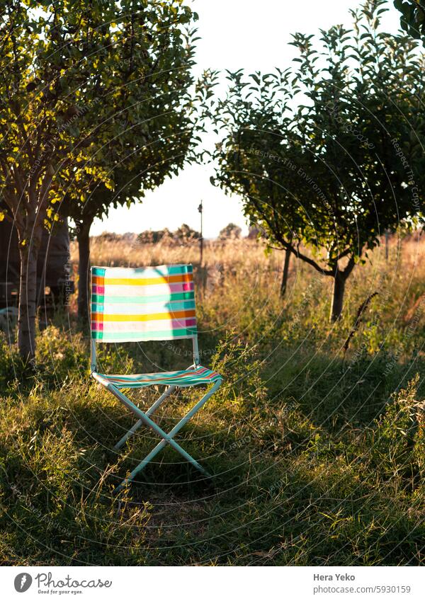 colorful chair in a fruit orchard agriculture colors countryside eco ecological enjoy family folding fruit trees plastic rest summer towns water nature garden