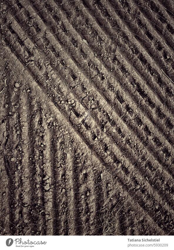 Tractor tracks in the soil, some of which run diagonally, some from top to bottom, view from above acre Agriculture Furrow furrows Tracks Extend reap Harvest