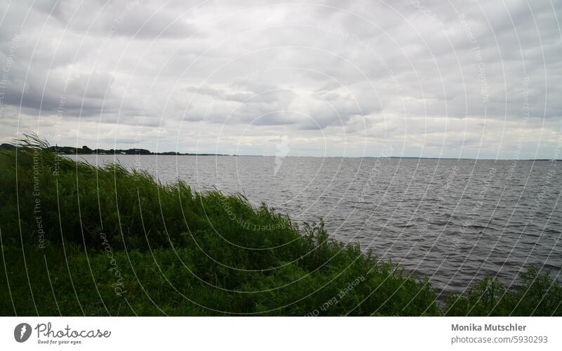 freedom Seashore seascape Clouds Loneliness Summer's day Summer vacation Far-off places Environment Longing Adventure Calm Trip naturally Waves relaxation Day