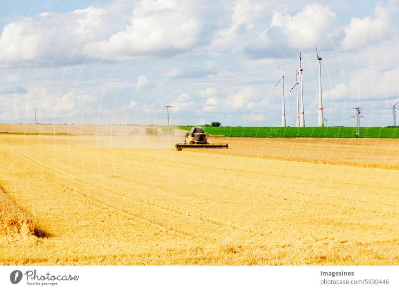 Grain harvest in summer. Combine harvester in use on a wheat field Wheatfield Harvest Mature Agriculture Machinery Field Machines Barley Cereal plant Maize