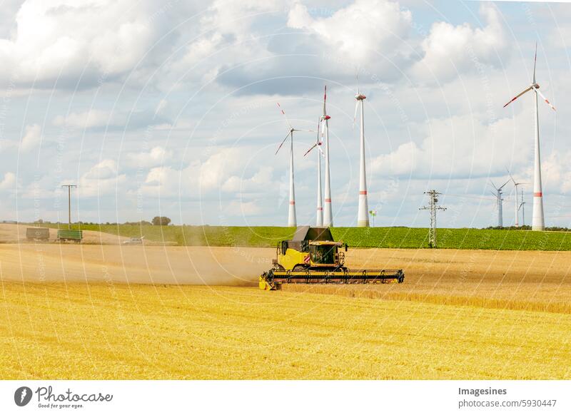 Grain harvest in summer. Combine harvester in use on a wheat field Wheatfield Harvest Mature Agriculture Machinery Field Machines Barley Cereal plant Maize