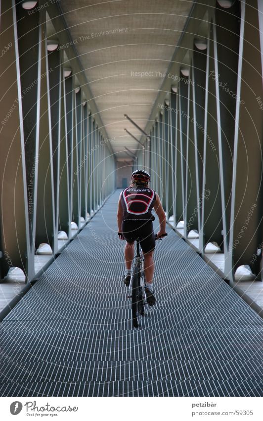 under the bridge Mountain bike Bicycle Bridge Sports