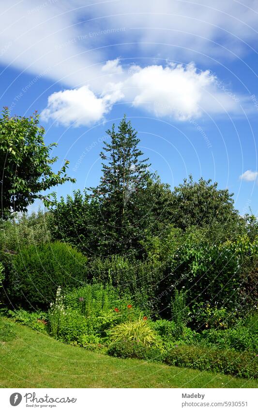 Lush greenery in a beautiful large garden in summer with blue sky and white cloud in sunshine in Wettenberg Krofdorf-Gleiberg near Gießen in Hesse Cast