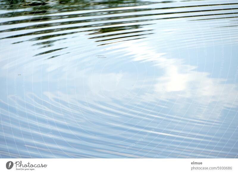 what remains ...  / circular waves on a pond Water Pond Lake Waves water ring circle Surface of water Reflection reflection Blog Collection Seasons Nature