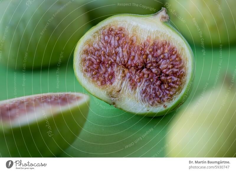 Figs, green variety, halved fruit Green Sámen Ftcus ficus carica Eating Dish