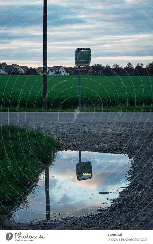 Mirror image Mirror image Puddle Street Field