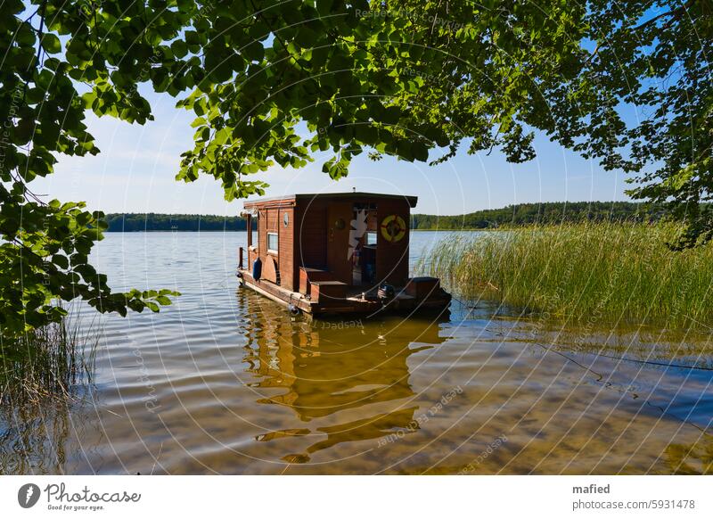 The discovery of slowness - rafting vacation on the Mecklenburg Lake District Summer Raft tour Water Sky Forest reed Clouds Nature Landscape Lakeside