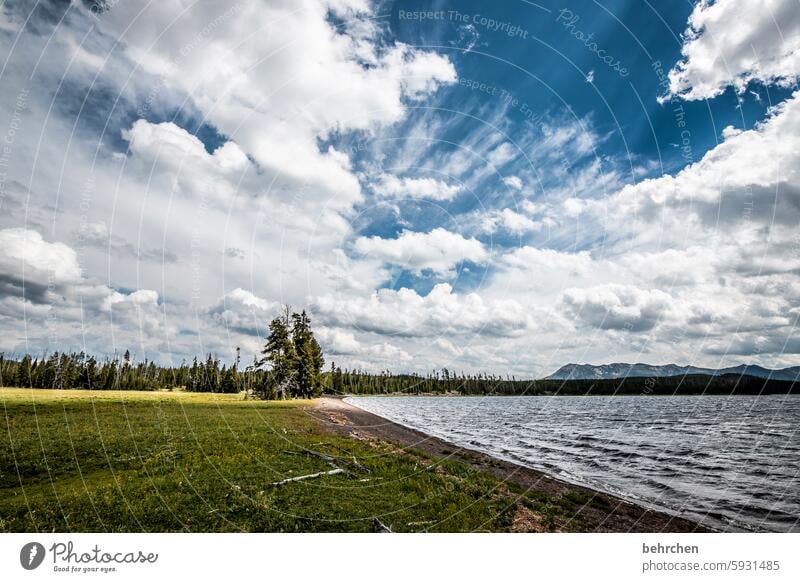 yellowstone Adventure Nature Wanderlust wide Far-off places Vacation & Travel Sky Landscape Wyoming Americas USA Yellowstone National Park Wilderness Together