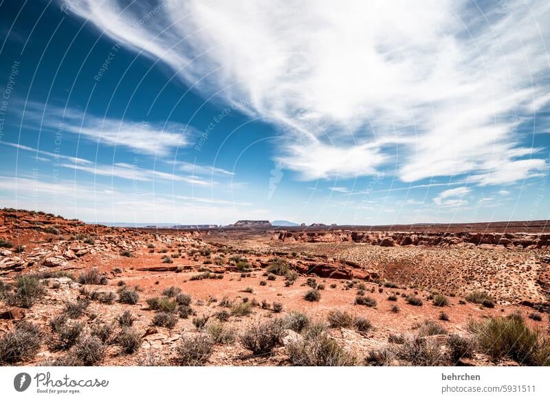 cloud stories Impressive Clouds Sky be on the way Roadside Grass Mountain Far-off places Freedom Vacation & Travel Americas USA Exceptional endless Wanderlust