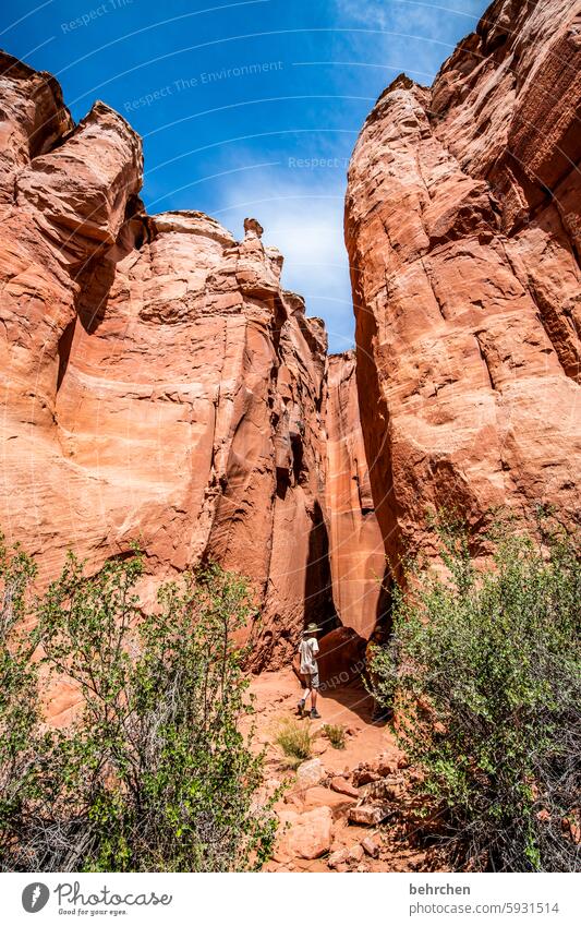 antelope Impressive Fascinating canyon Fantastic Arizona Vacation & Travel Exceptional Far-off places Nature Americas USA Antelope Canyon stunningly Rock Child