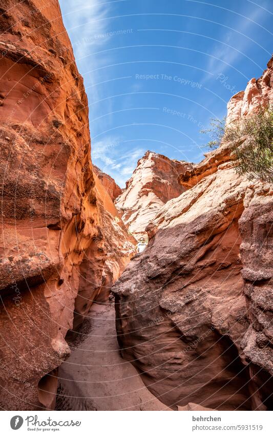 antelope Impressive Fascinating canyon Fantastic Arizona Vacation & Travel Exceptional Far-off places Nature Americas USA Antelope Canyon stunningly Rock