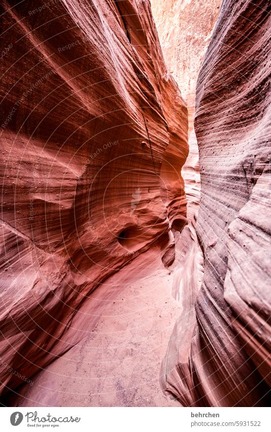 waves Impressive Fascinating canyon Fantastic Arizona Vacation & Travel Exceptional Far-off places Nature Americas USA Antelope Canyon stunningly Rock