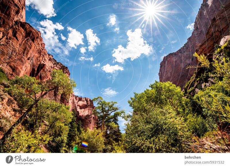 star stories Impressive Wall of rock Stone Red Utah Zion Nationalpark Nature Vacation & Travel Rock Sky Light solar star Sunlight Mountain Landscape travel