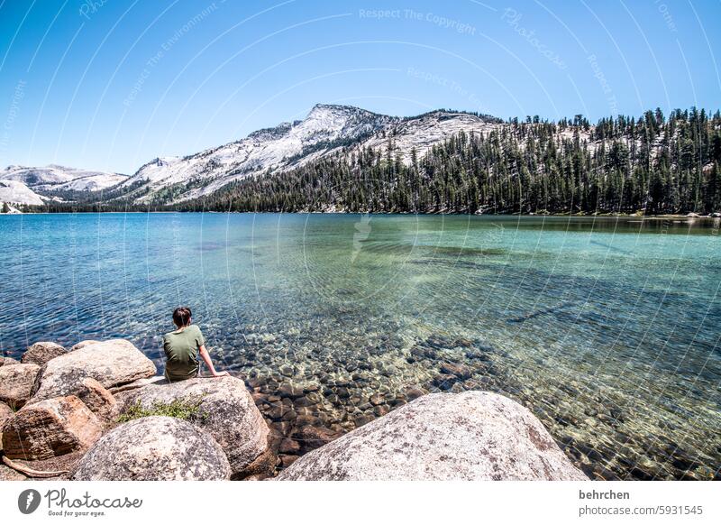 read stories silent Lake USA Americas California Yosemite National Park yosemite travel Landscape Mountain Sky Rock Vacation & Travel Nature Child Infancy