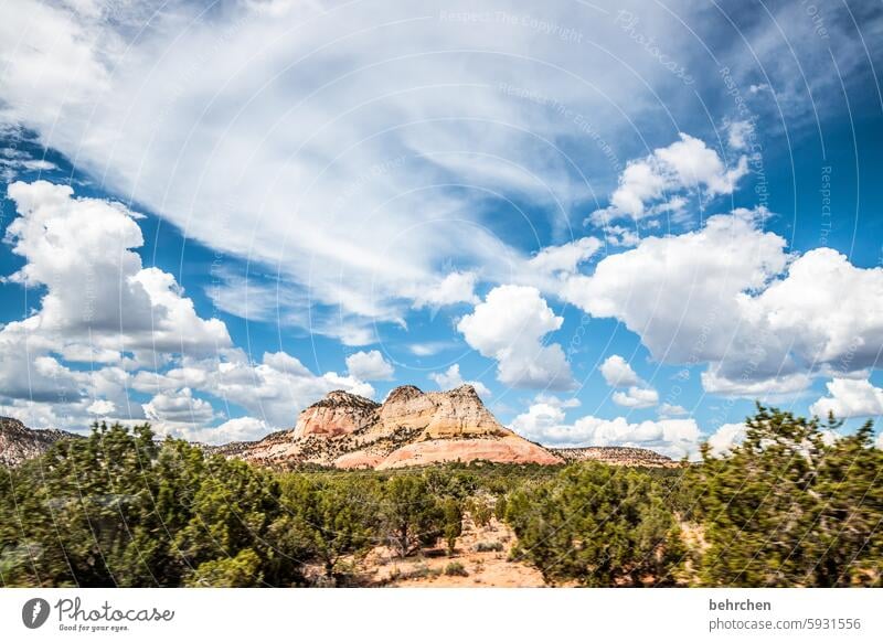 on the way Clouds Sky be on the way Roadside Grass Mountain Far-off places Freedom Vacation & Travel Americas USA Exceptional Wanderlust endless endlessness