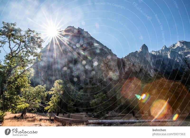 star stories lens flare sunspots reflection trees USA Americas California Yosemite National Park Landscape travel yosemite Mountain Sun Sunlight solar star