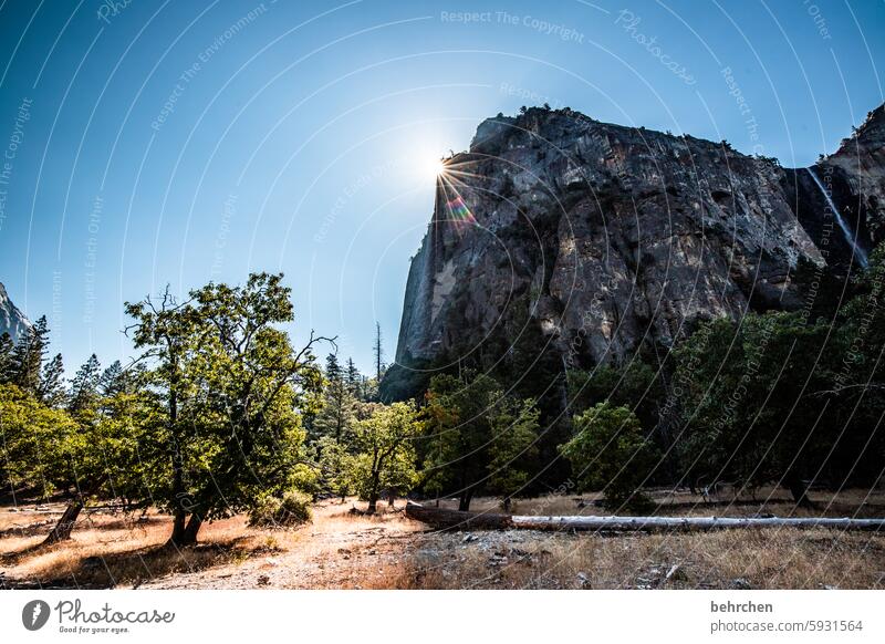 ray of hope trees Shadow USA Americas California Yosemite National Park yosemite travel Landscape Mountain Sun Sunlight solar star light and dark Light Hope Sky