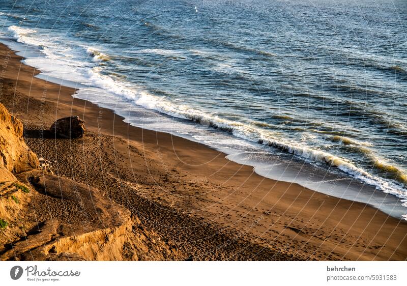 Beach and sea Landscape Waves Water Fantastic Ocean coast USA Americas Vacation & Travel Far-off places Freedom California San Francisco