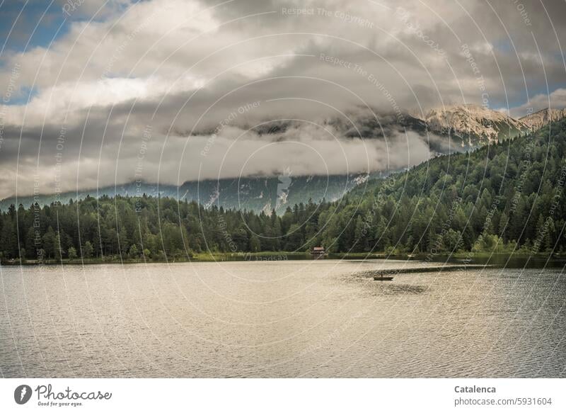 The lake with rowing boat in the morning Forest Fog Relaxation Idyll Environment Lakeside Water Sky Mountain Alps mountains Landscape Nature mountain lake