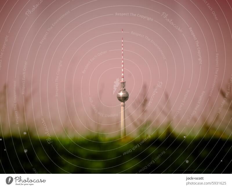 Berlin air with television tower Berlin TV Tower Meadow Capital city Neutral Background Landmark Cloudless sky Panorama (View)