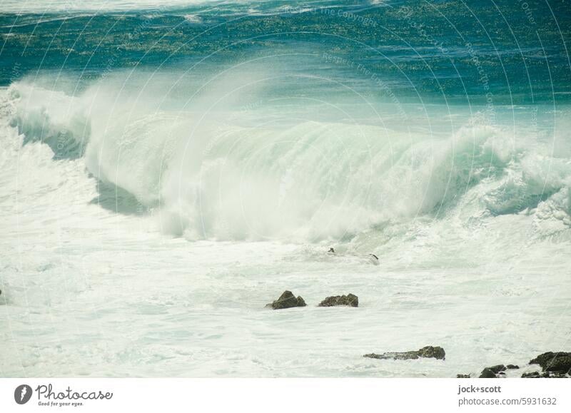 last big wave Waves Australia Ocean Nature Pacific Ocean Surf Wave break Undulation Force Elements Force of nature