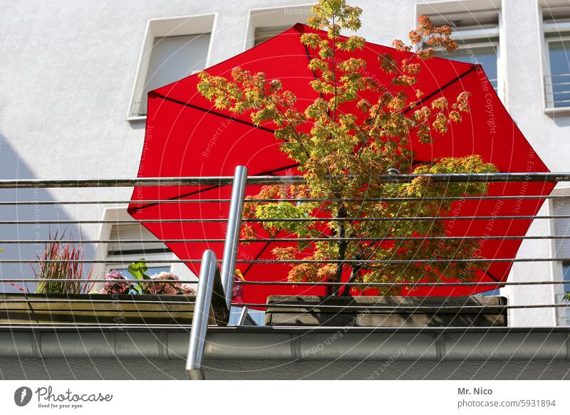 UT I Only floating is more beautiful I Balcony balconies Sunshade Summer Worm's-eye view little trees rail Apartment house at home Orange Town