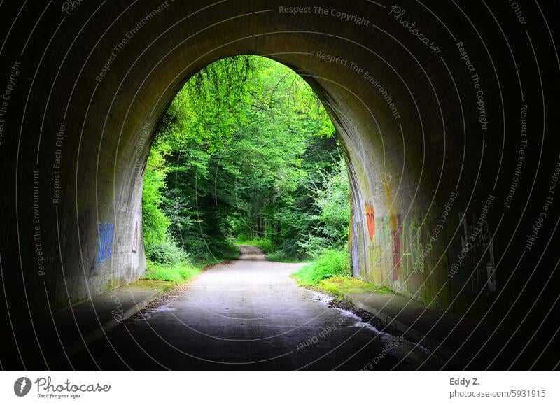 At the end of the tunnel shines a vibrant, green forest that promises adventure and discovery. The contrast between darkness and light invites you on a journey into the unknown.