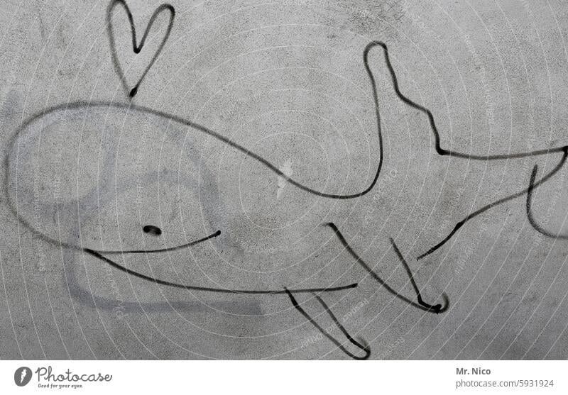 UT I Only floating is more beautiful I gray whale graffiti Wall (building) Marine animal Animal Whale Drawing Creativity Art Trashy Fin Smiling Gray