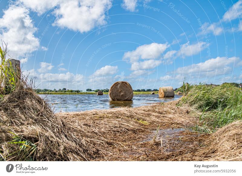 After the storm surge Straw bales in the North Sea water Field Sky Summer Harvest Agriculture Water Nature Bale of straw storm tide Hay bale Sylt island