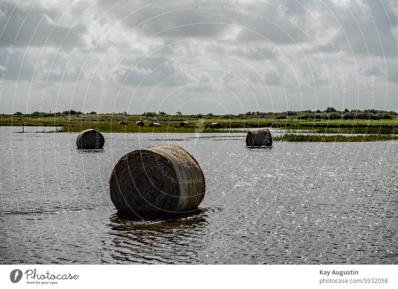 flooded storm tide Bale of straw North Sea Straw Hay bale Nature flora Botany Sylt island Summer Sky Clouds Weather Environment Water Perspective Agriculture